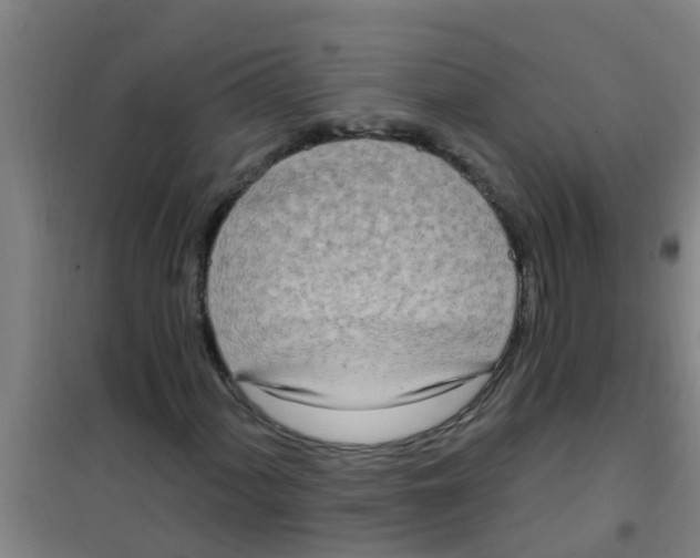 X0000100411060200807032032