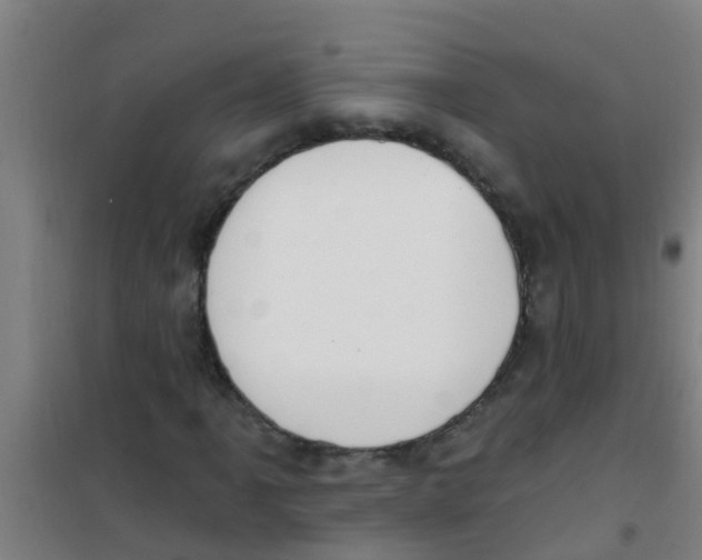X0000100411061200807032032