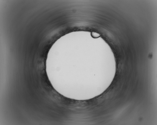 X0000100411062200807032032