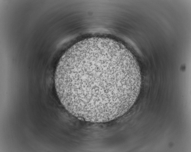 X0000100411063200807032032