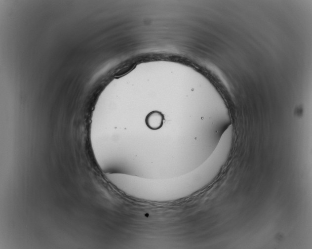 X0000100411064200807032032