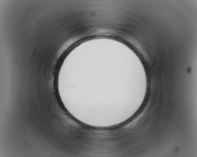X0000100411066200807032032
