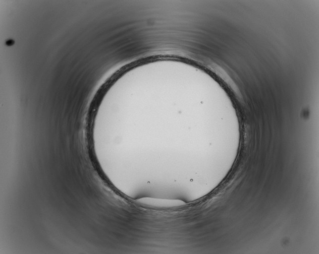 X0000100411068200807032032