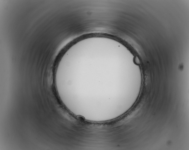 X0000100411069200807032032