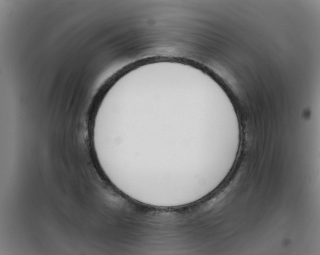 X0000100411070200807032032
