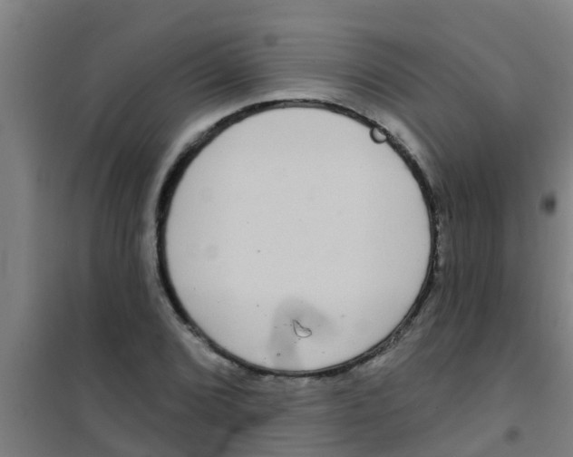 X0000100411072200807032032