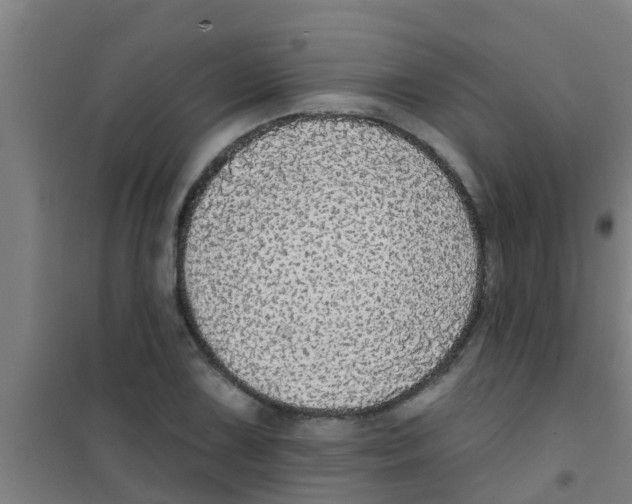 X0000100411075200807032032