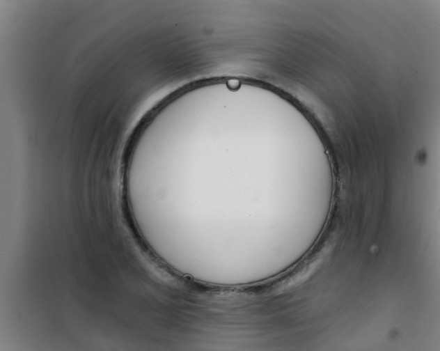 X0000100411077200807032032