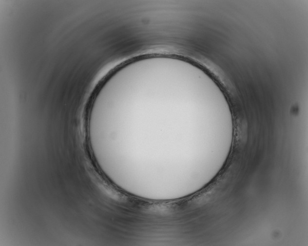 X0000100411078200807032032