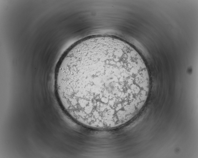 X0000100411079200807032032