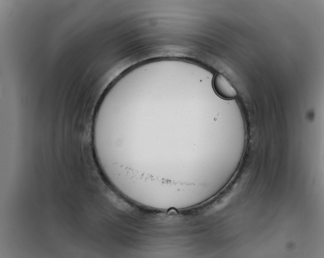 X0000100411081200807032032