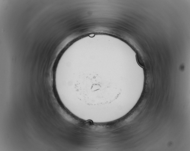 X0000100411082200807032032