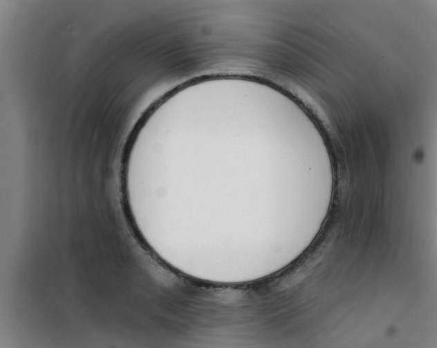 X0000100411085200807032032