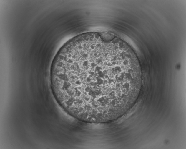 X0000100411087200807032032