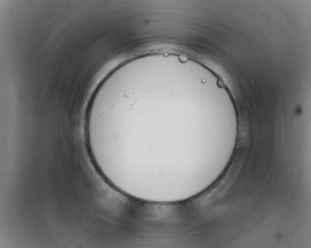 X0000100411090200807032032