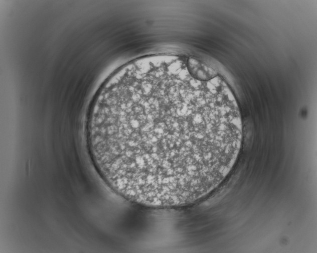 X0000100411091200807032032