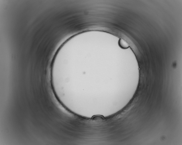 X0000100411092200807032032