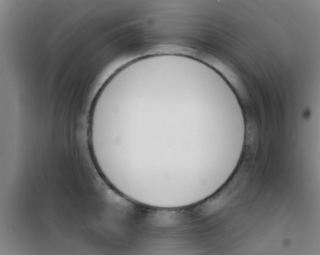 X0000100411094200807032032
