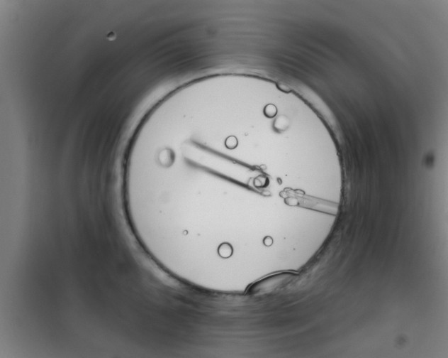 X0000100411096200807032032