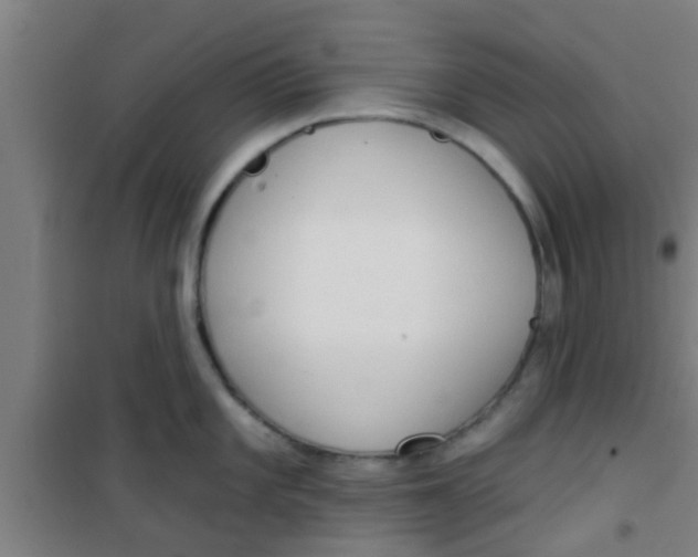 X0000100411101200807032032