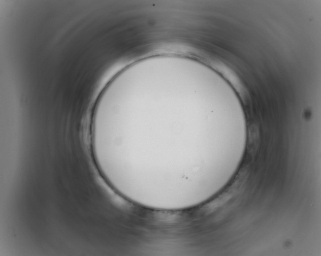 X0000100411103200807032032