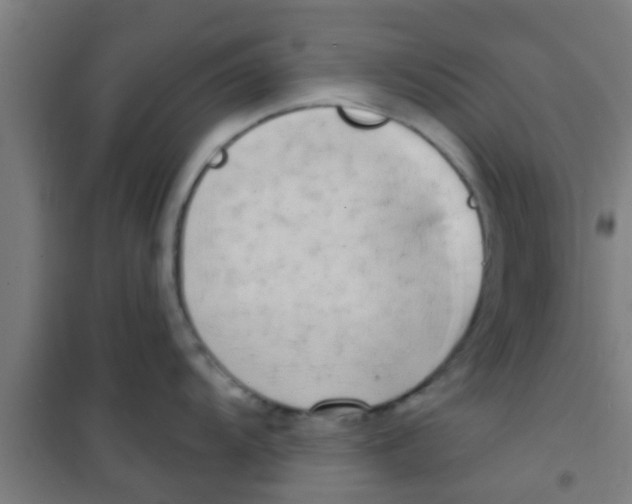 X0000100411104200807032032