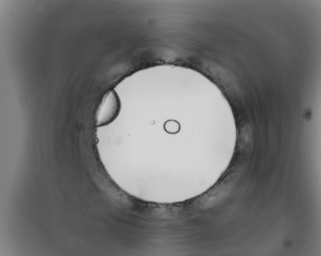 X0000100411105200807032031