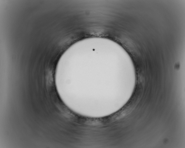 X0000100411106200807032031