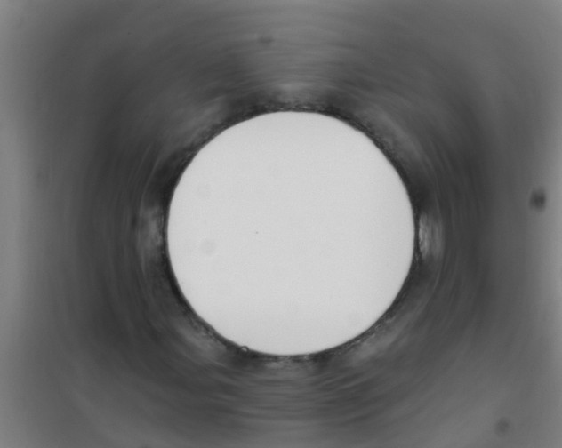 X0000100411107200807032031