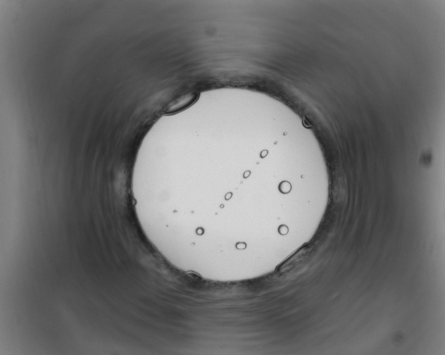 X0000100411108200807032031