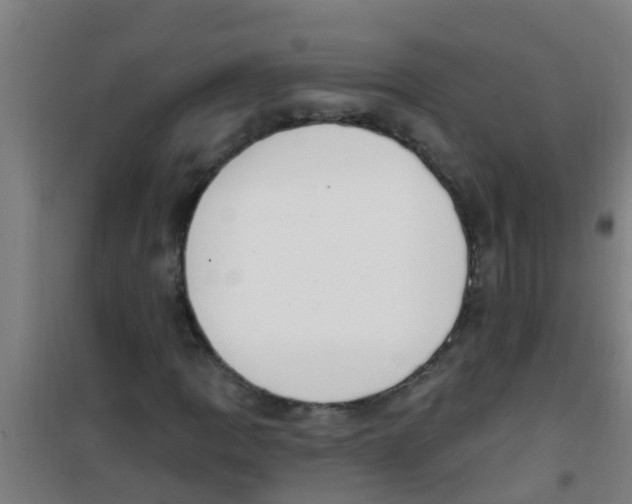 X0000100411109200807032031