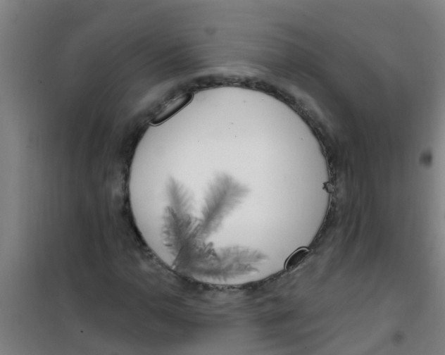 X0000100411110200807032031