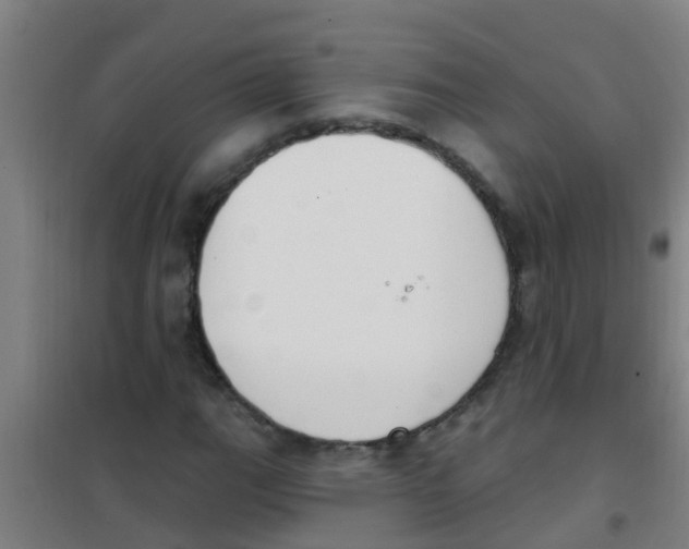 X0000100411111200807032031