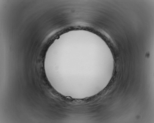 X0000100411112200807032031