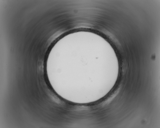 X0000100411113200807032031