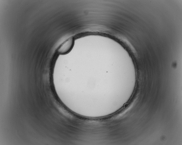 X0000100411114200807032031