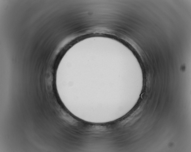 X0000100411115200807032031