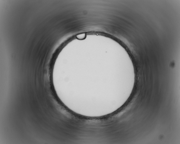 X0000100411118200807032031