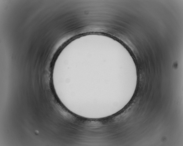X0000100411119200807032031