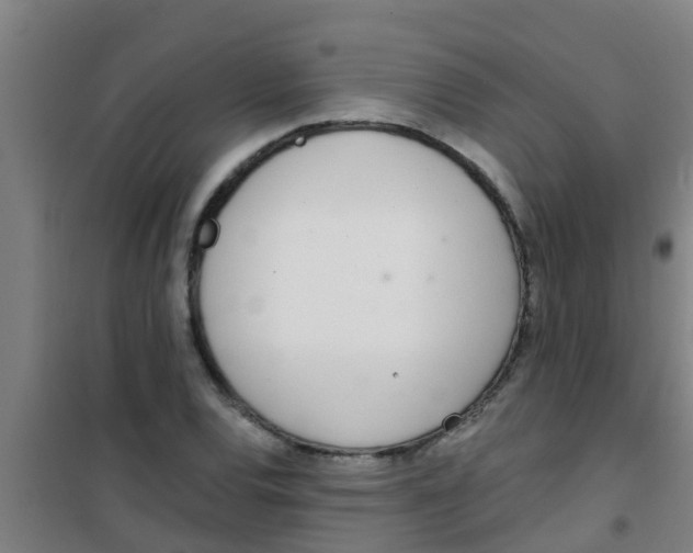 X0000100411120200807032031