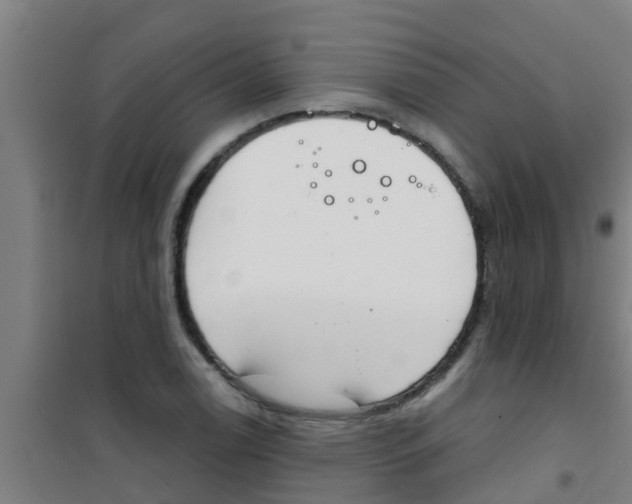 X0000100411122200807032031
