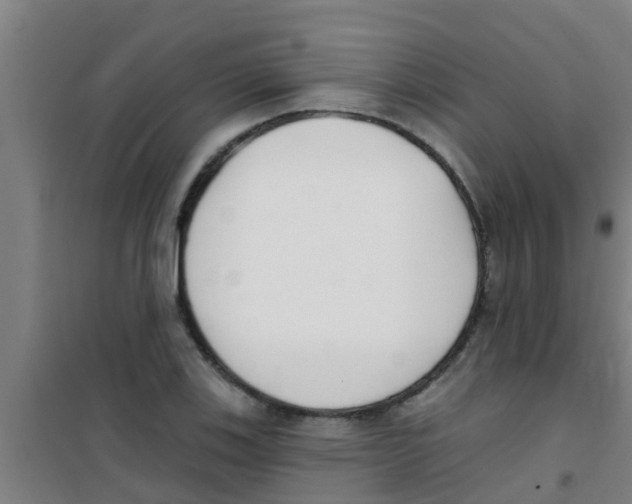 X0000100411123200807032031