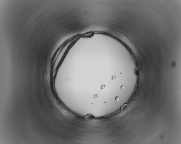 X0000100411124200807032031