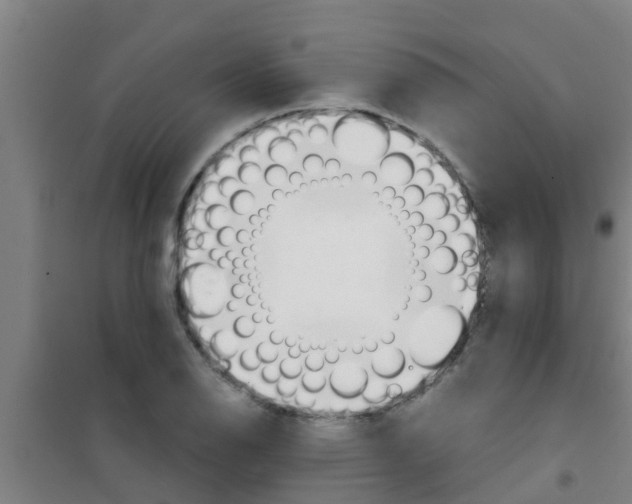 X0000100411126200807032031