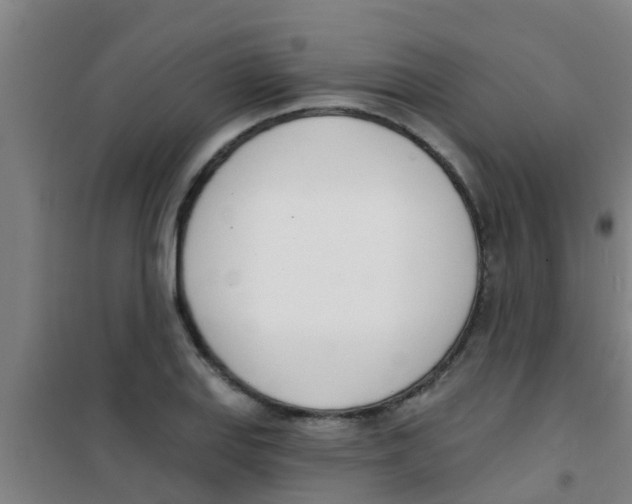 X0000100411127200807032031