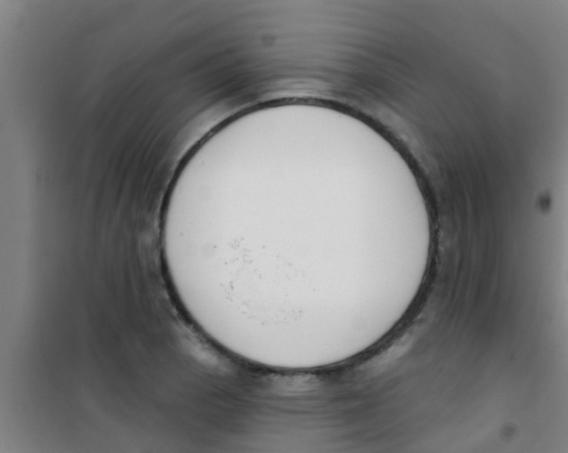 X0000100411129200807032031