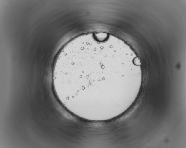 X0000100411130200807032031