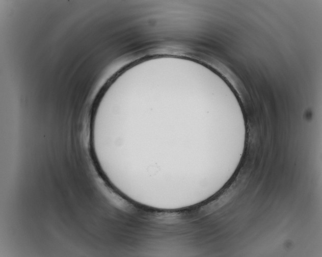 X0000100411131200807032031