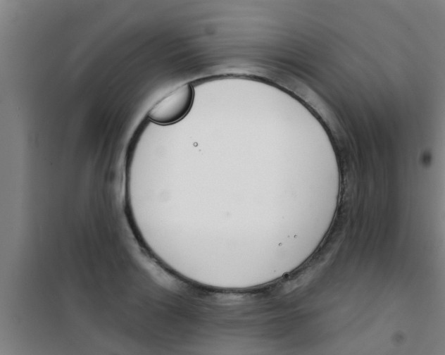 X0000100411132200807032031