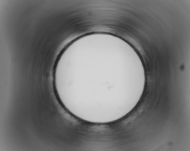 X0000100411133200807032031